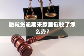 南平企业清欠服务